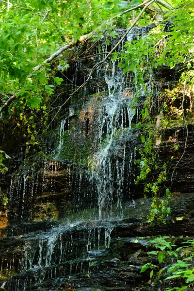 DSC_2822 (Large).JPG